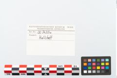 Etikett zu Bronzefibelnadel (NHMW-PRAE-003433a)